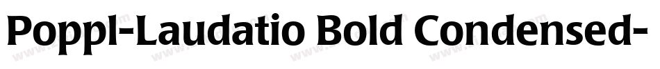 Poppl-Laudatio Bold Condensed字体转换
